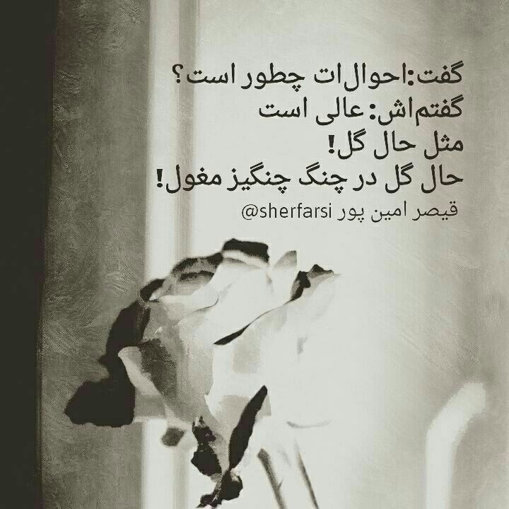 همین...