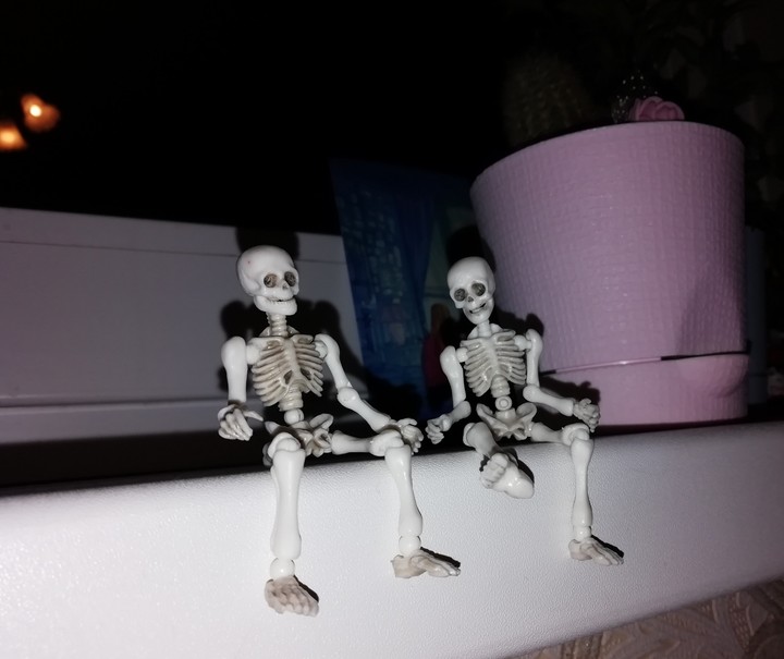 Костян и Стёпа