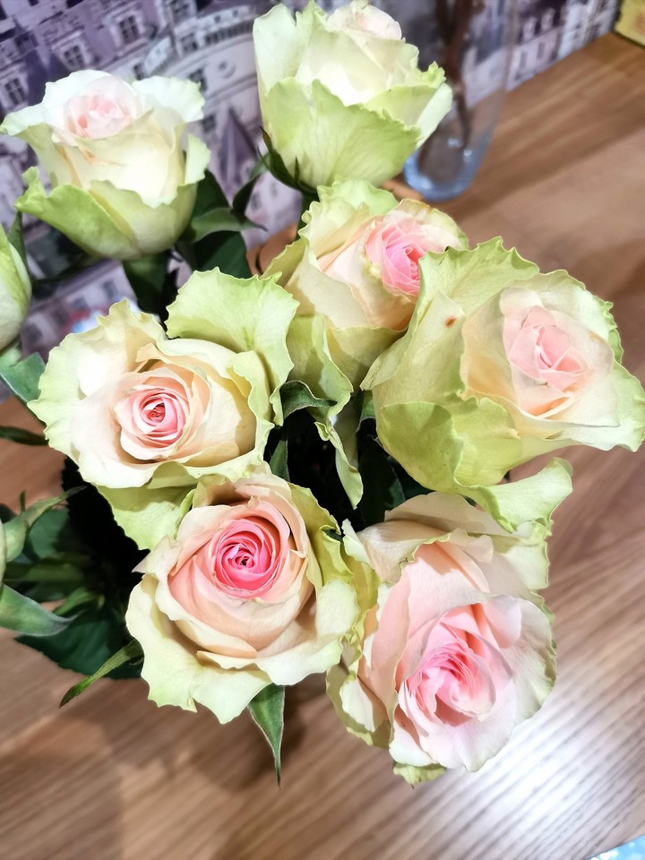 Roses