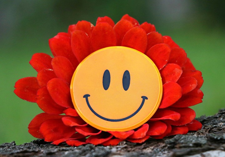 smile flower
