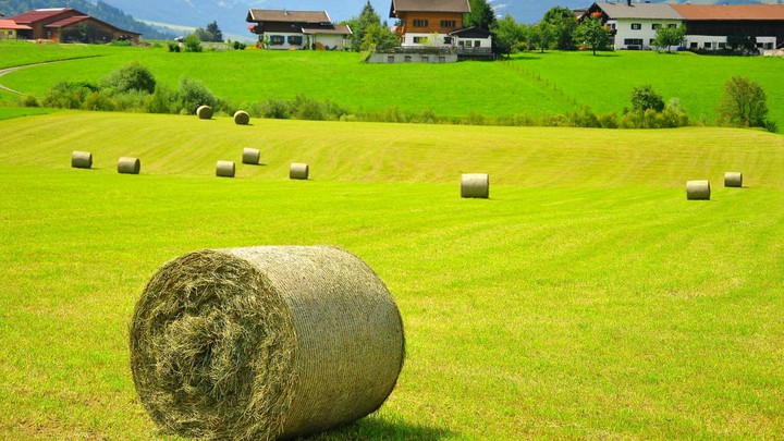 Auf der Alm