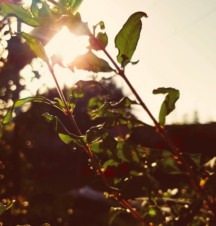 sun is shining
