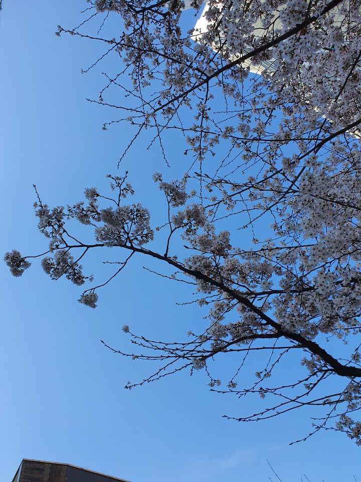 korean sky