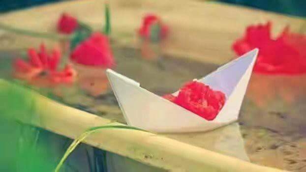 Paper Ship...