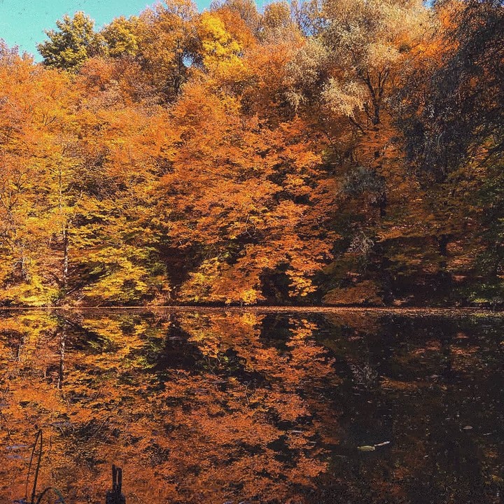 Autumn