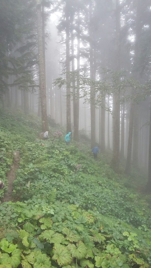 Environment and People