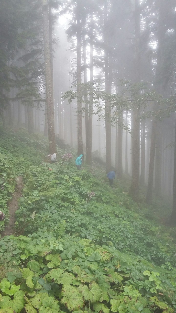 Environment and People
