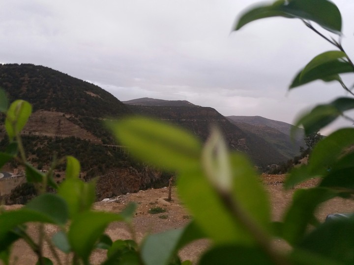 morocco abdo