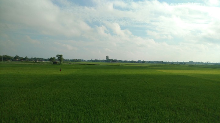 nature