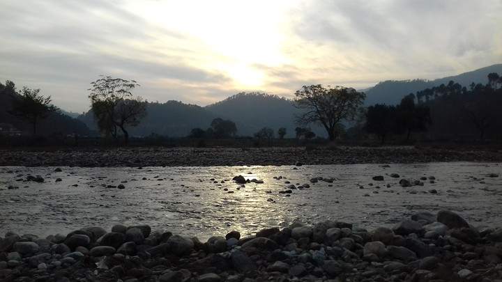 nature beauty