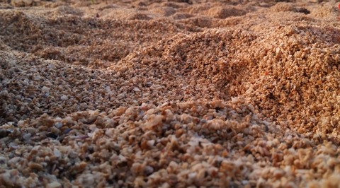 Sands of Mauritius