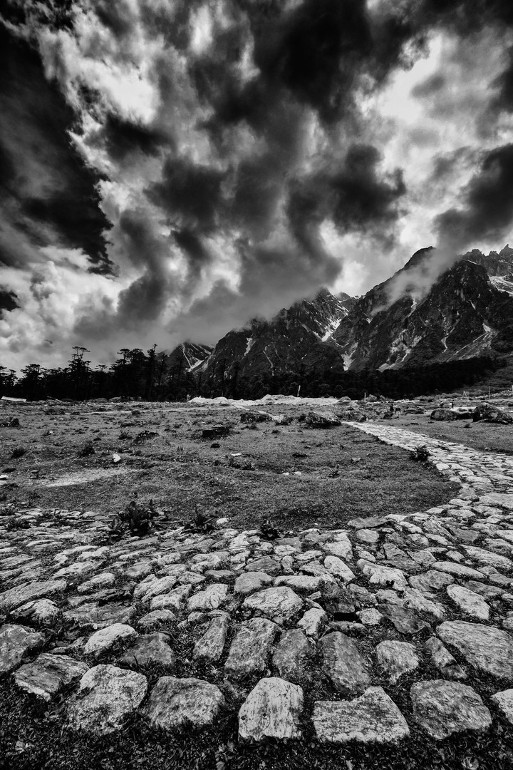 Yumthang Valley...