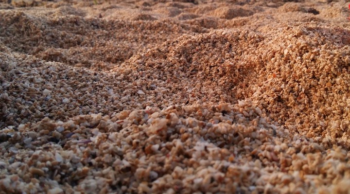 Sands of Mauritius