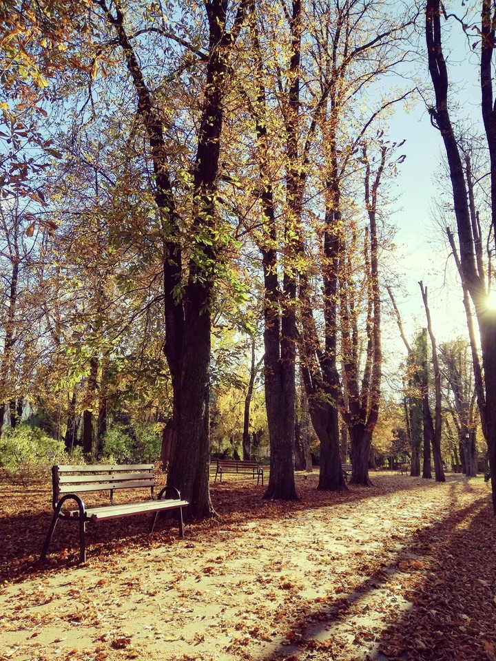 autumn