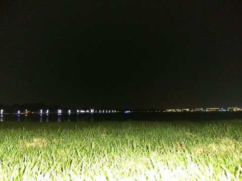 city_lights