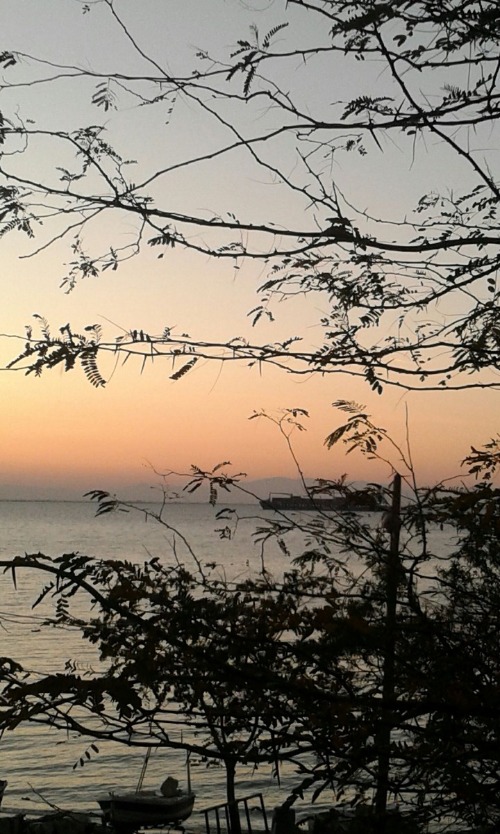 sea