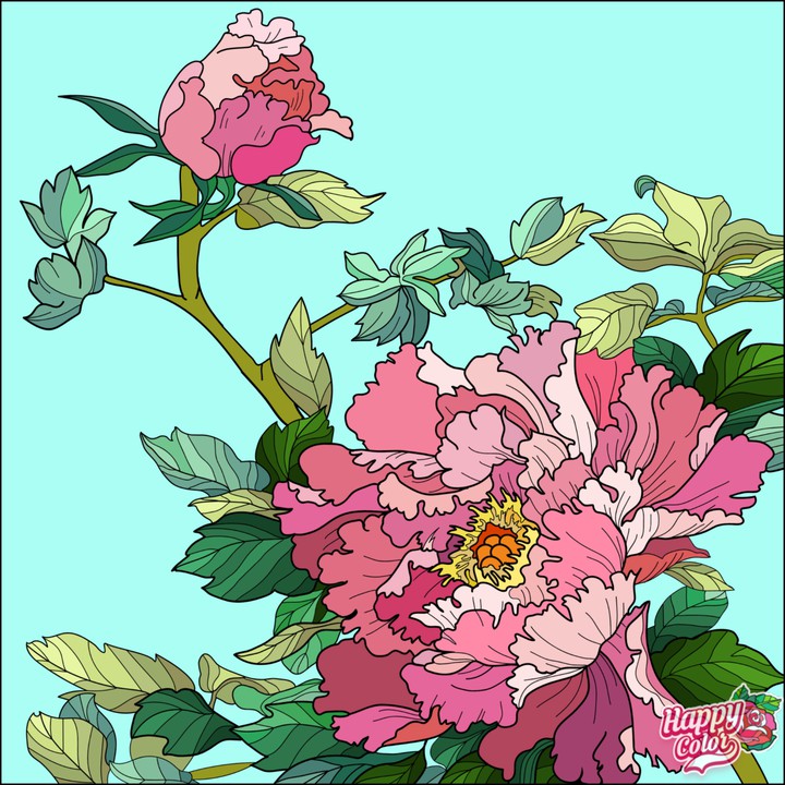 Happy color