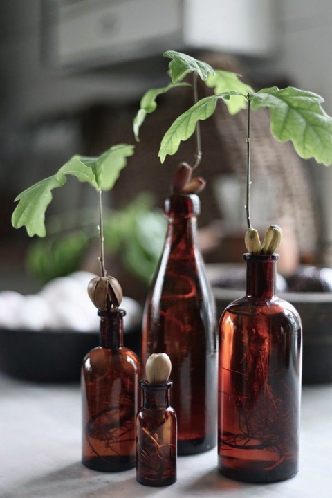 bottle, Drink háttérképek