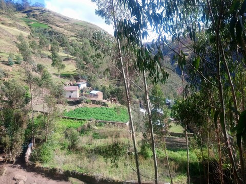 ταπετσαρίες property, village