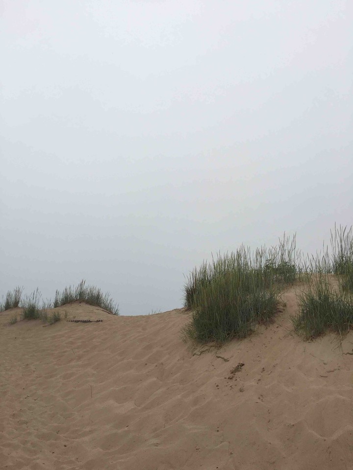 sand dunes