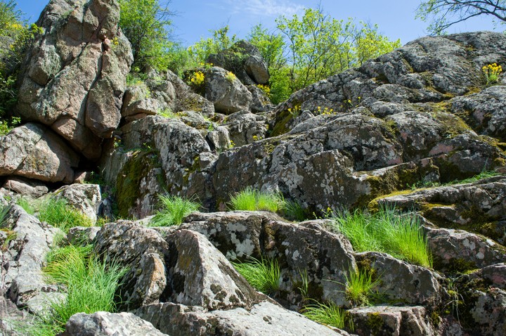 aktovo