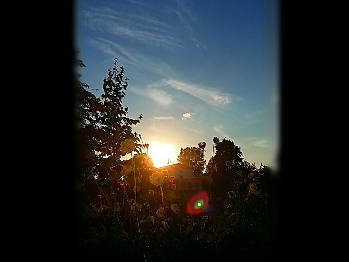 sunlight in the evening