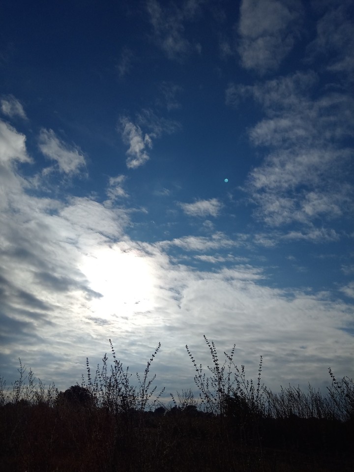 Sky