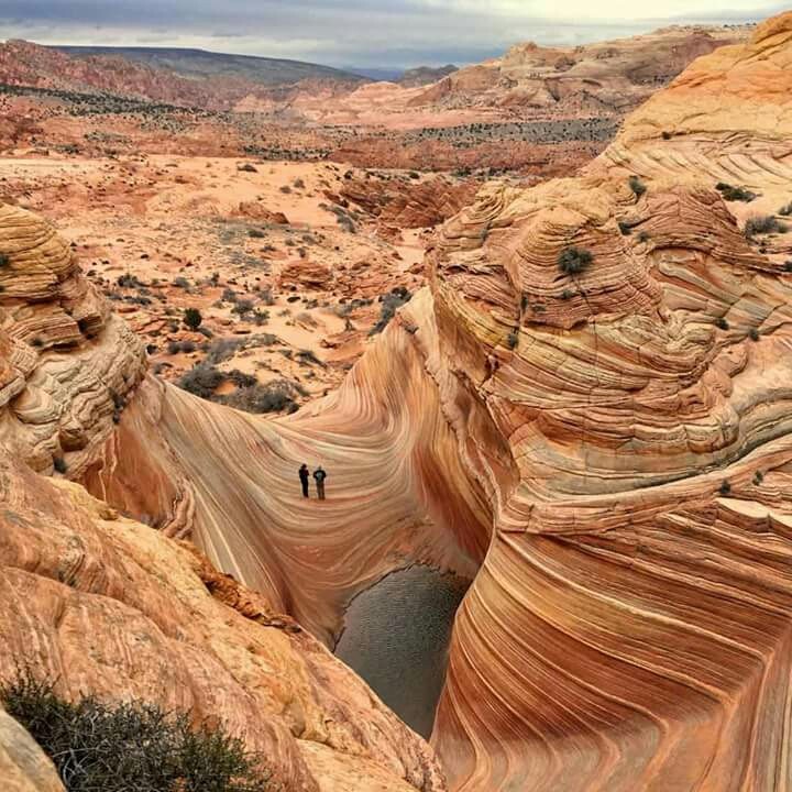 the wave