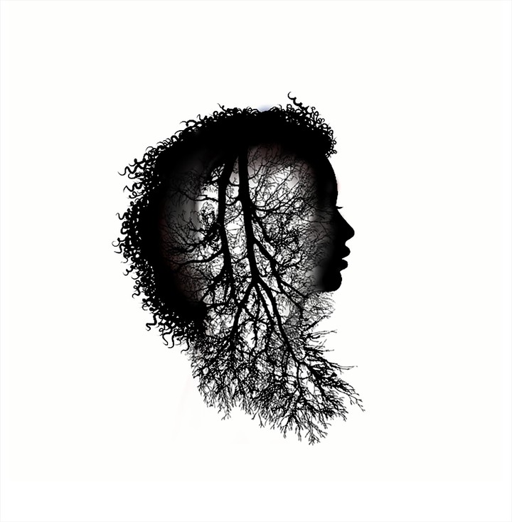 Our heads