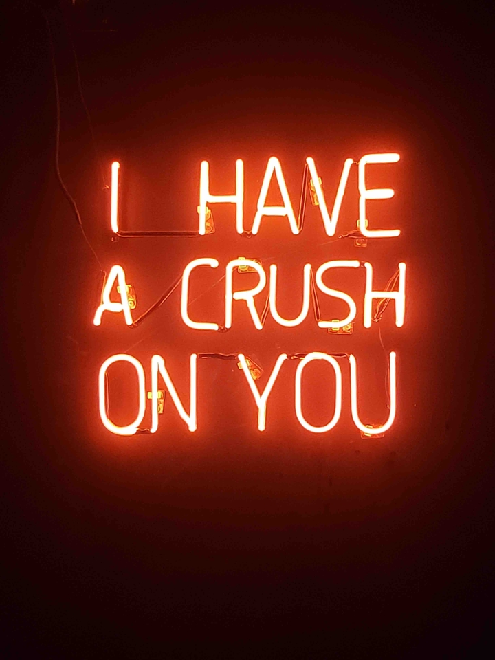 I Have A Crush