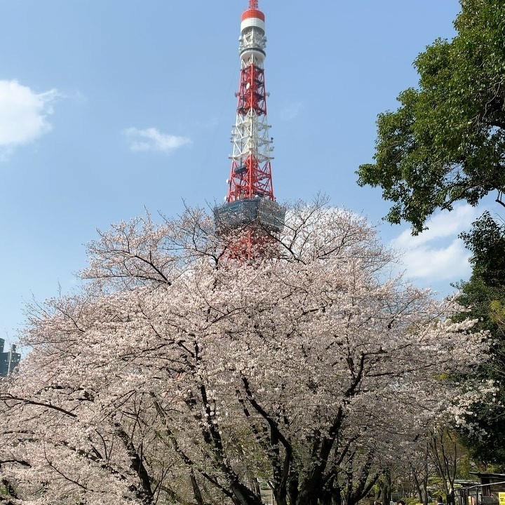 Tokyo❤