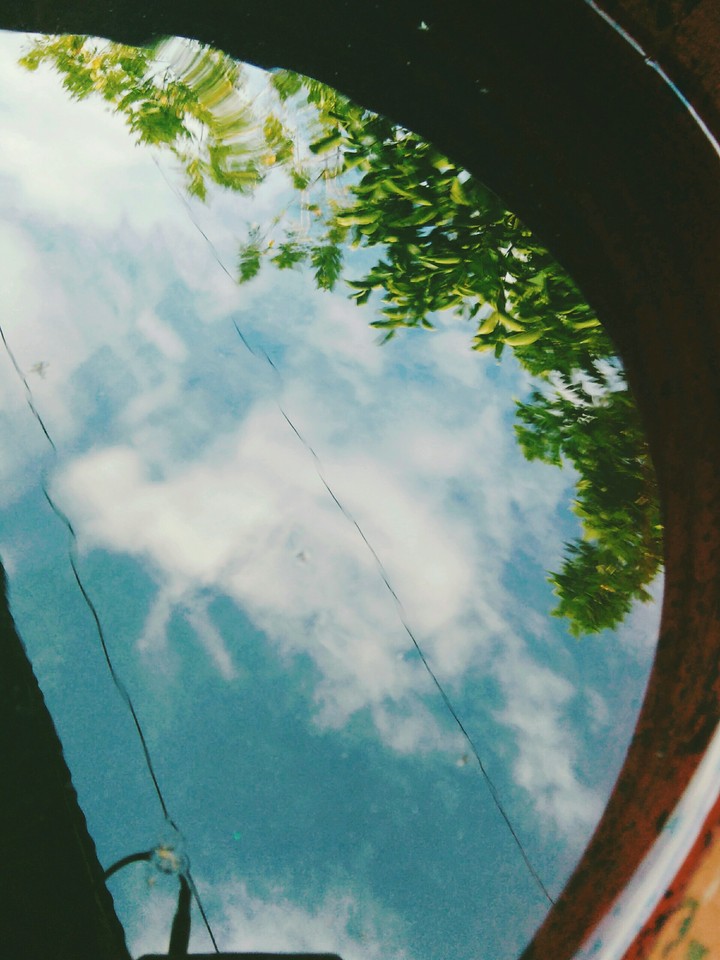 reflection