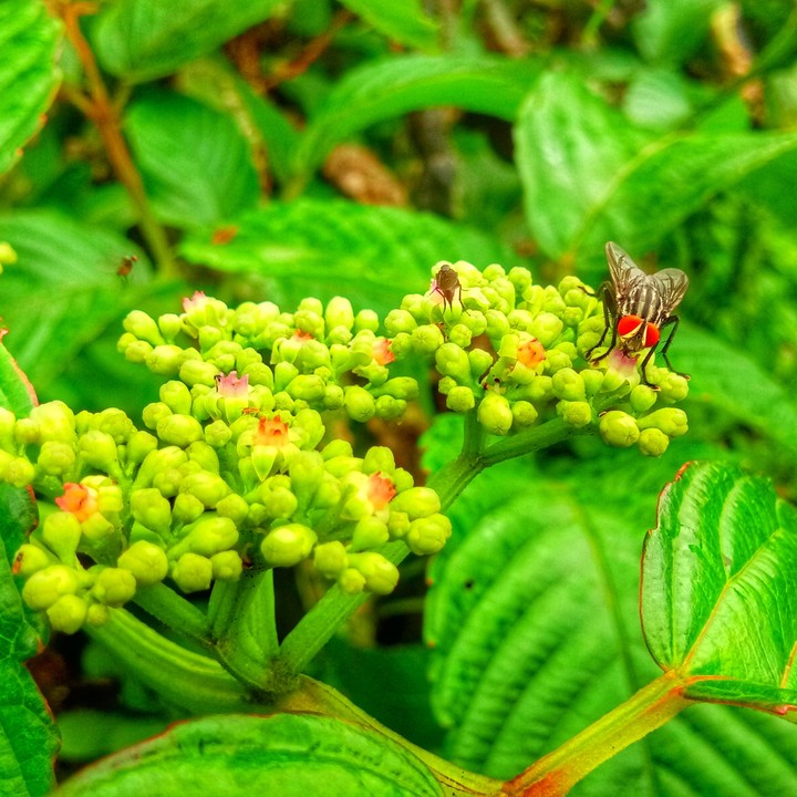 #nature