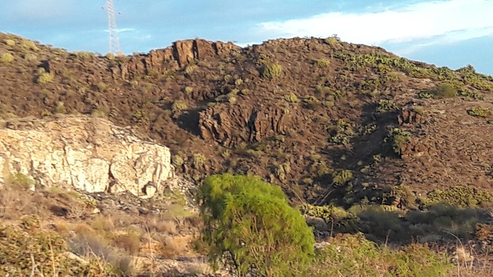 Spanish nature