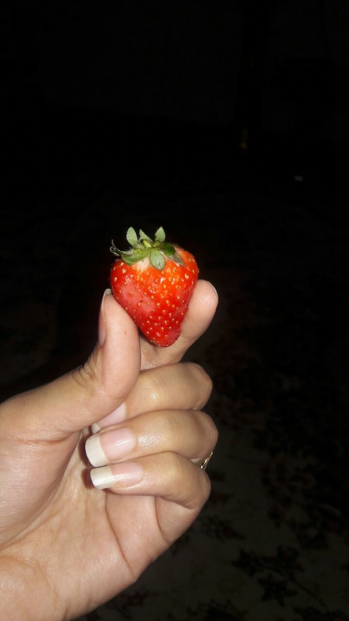 Fruity