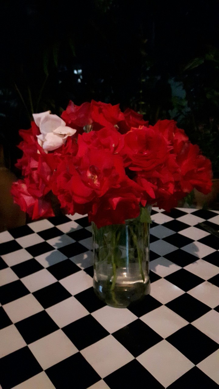Sprinkle rose from my garden.
