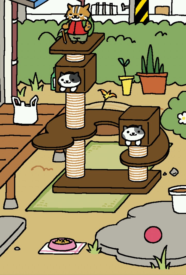 cat