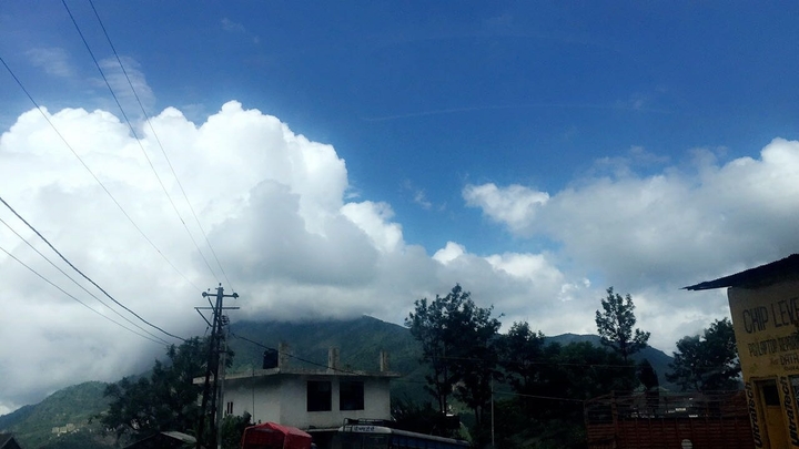 nature beauty