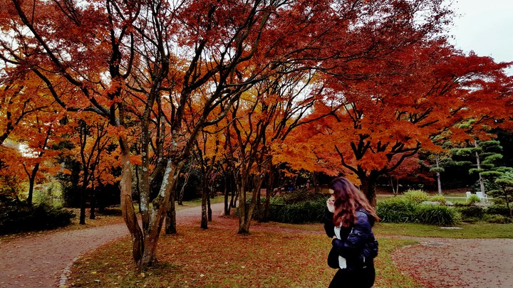 Red nature