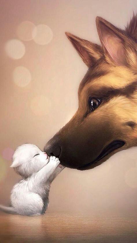 All kinds of animal deserve a chance to live ✌?❤