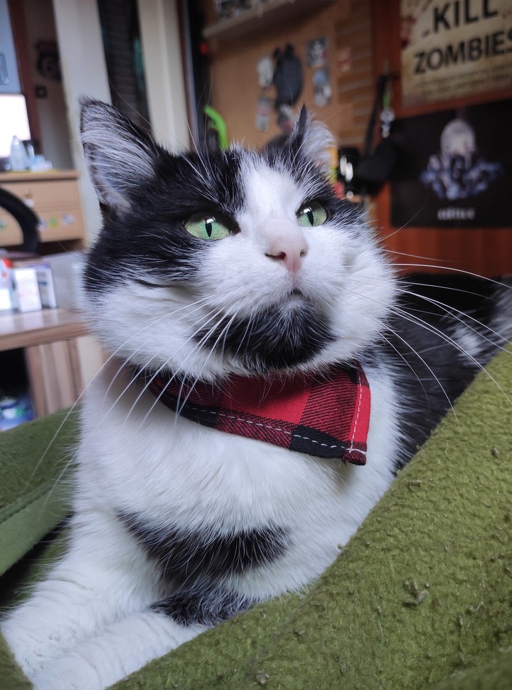 Lilly mit Halstuch
