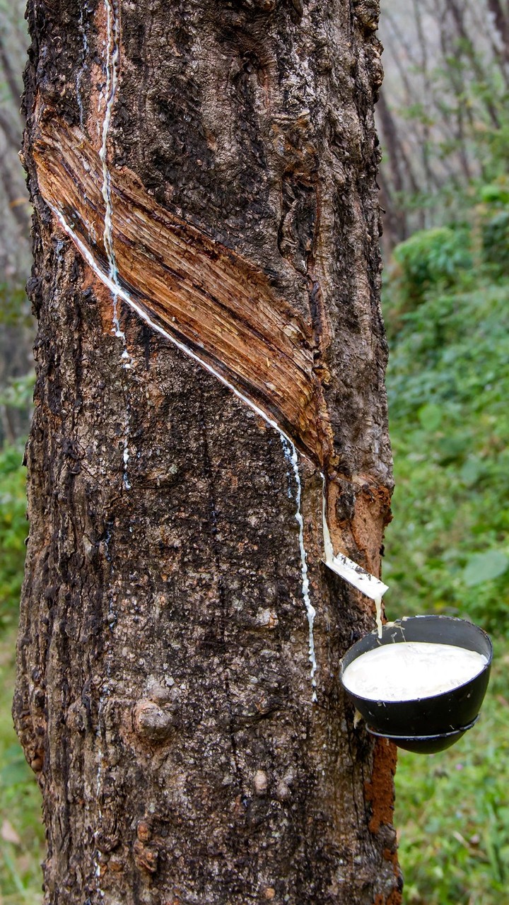 Kerala