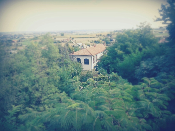 casa nel bosco