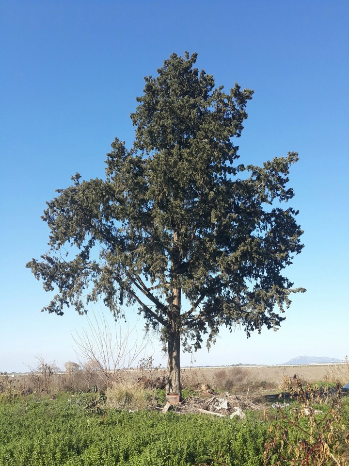 #TURKEY #nature #life