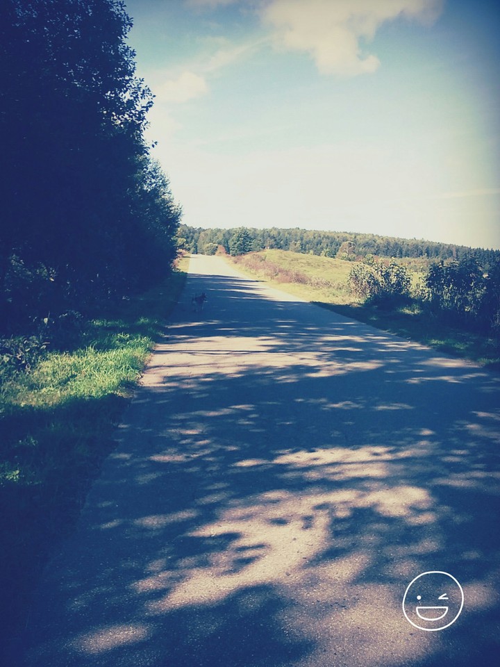 Lato 