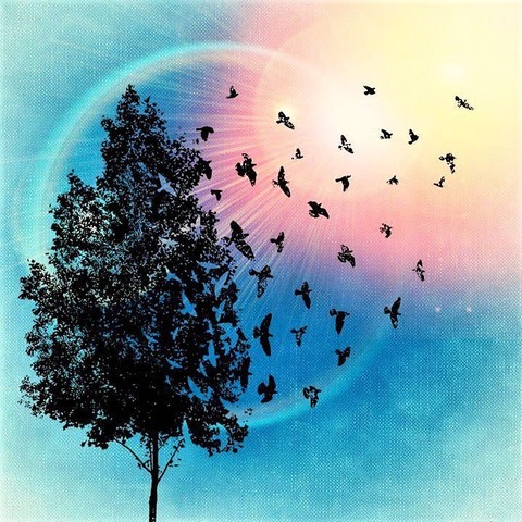 图形, tree壁纸