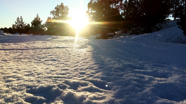 Snowyday happiness