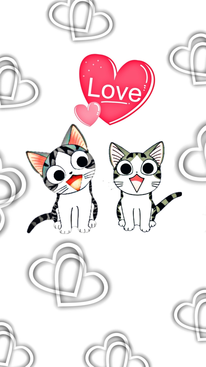 Cat Lover o(^▽^)o