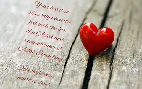 Heart