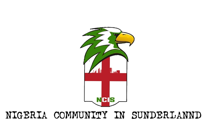 Nigerians in Sunderland logo original